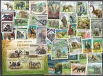 ELEPHANTS  50 ALL DIFFERENT STAMPS NATURE   COLLECTION  28/3/26