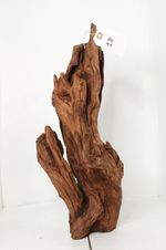 Driftwood #18 - Aquascaping, Terrarium, Vivarium, Ornamental Decor