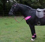 PINK HI VIZ FLUORESCENT BRIDLE SET - 4X LEG, 2X BRIDLE, HAT & CHEST