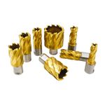 Annular Cutter Mag Drill Bit 12-60mm Depth 35mm 3/4" Weldon Shank Magnetic Drill