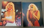 Job Lot of 10 X  Blondie Photographs