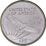 1/2 oz $50 American Platinum Eagle .9995 Fine Coin - Random Year BU