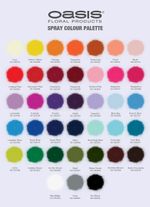   Flower Spray paint 400ml for fresh and dried flowers OASIS® In Various Colours