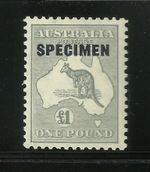 Australia Early £1 Kangaroo MH Original Gum George V Great Condition & Colour