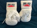 Pro-Box White Boxing Gloves – Multiple Signatures – Amateur Boxing Memorabilia