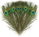 3pcs Natural Real Peacock Feather 24-30cm 10-12inch small
