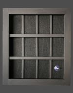 Graded PSA 12 Card Wall Mounted Display Case