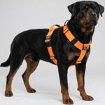No Pull Dog Harness Large Adjustable Heavy Duty Padded With Handle