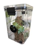 Praying Mantis,Stick Insect,Tall Arboreal, Vented, Reptile,Cage,Tank,Enclosure.