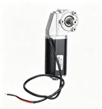 Turbo Worm Reduction Motor Forward Reverse Self-Locking Motor 100RPM DC 12V
