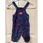 Vintage Baby B'gosh Oshkosh Blue Floral Corduroy Overalls for Kids