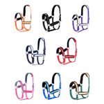Gallop Horse Halter Floral Furr - Contoured Fit & Moisture-Wicking Fabric