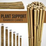 2FT 3FT 4FT 5FT 6FT Bamboo Garden Canes Strong Pole Thick Quality Plant Support 