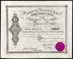 Phoenix Silver Lead Mining Co. Ltd., one £10 share, 1872, attractive Cornish ...