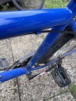 Assist  Adult  Bike