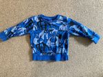 Next Boys 12-18M Blue Monkey Sweatshirt
