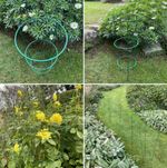 Conical Cage Frame Metal Plant Supports (5) Tomato Herbaceous Peony Flower