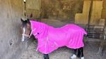 SALE OFFER New Design Horse fly rug combo attached neck cover Choice of colors