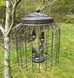 Squirrel Proof Hanging Bird Seed Feeder Heavy Duty Garden Wild Birds