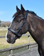 Rhinegold Leather Lunge Cavesson,  Black, 4 Sizes