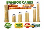 Bamboo Garden Canes Plant Support Stakes – 2ft to 6ft | Various Pack Sizes