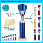 PRESENTATION CUP TROPHY - Gold or Silver Sports Award Trophies, FREE ENGRAVING