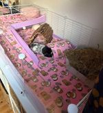 C&c Fleece And towelling Cage Liner 4x2 - (145cms x 73 CMS )