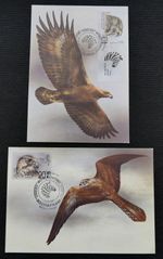 Birds ~ Birds of Prey ~ 1990 ~ Russia ~ 2 Maxi Cards
