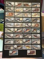 Cigarette Card Fish