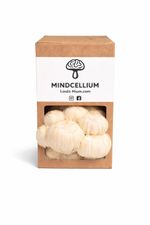 Lions Mane Mushroom Grow Kit, Gift Boxed,Fast Growing, 1.6KG Colonised Substrate