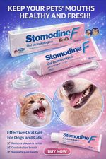Vetruus Stomodine F Dental Gel for Dogs and Cats - 30ml Tube