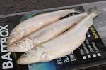LARGE SMELT X3 PER PACK 6" AND OVER X5 PK BUNDLE ON DRY ICE,FREE DELIVERY