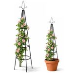 Garden Trellis Metal Plant Flower Climbing Support Decoration Frame Black Pot