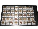 WHOLESALE lots of 10 pieces of fossil dinosaur bone in display cases - TRIASSIC