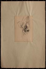 Theodor Volmar Robe Study Sleeve Sketch Art Switzerland Original Pencil 19thC