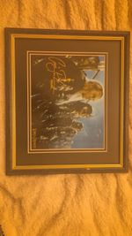 Craig Parker Lord of The Rings Haldir Copy Signed 10x8 Framed Photo with COA