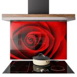 Glass Splashback Kitchen Tile Cooker Panel ANY SIZE Red Rose Macro Flower 0746