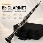 Viesanti Bb Clarinet Full Size Beginner Student Clarinet Outfit ABS Body Nickel 