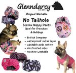 Glenndarcy No Tailhole Female Dog Nappy - French Bulldog / Bulldogs - M to XXXL