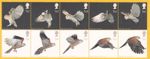 GB 2003 - BIRDS OF PREY Barn Owl Kestrel Set of 10 Stamps SG 2327 - SG 2336 MNH