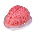 Brain Jelly Mould Halloween Party Dessert Tableware Plastic Horror Jello Moulds