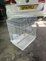 Birds Cage