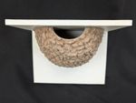 Nest Cup Box House Martin Woodcrete Artificial Wall-Mounted Backboard Roof