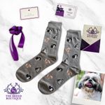 SHIH TZU SOCKS FUN PAIR OF UNISEX ONE SIZE FIT SOCKS UK ADULT SIZE 5-11 EU 38-46