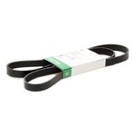 INA 6 Ribbed V Drive Belt Fits Audi Fiat Ford Skoda Peugeot Volvo VW FB6PK1613