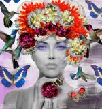 Chloe Rox Hummingbirds
