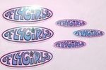 Vintage Black Flys Eyewear Fly Girls Sticker 90s Sunglasses Surf Skate Lot Of 6