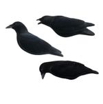 FA-194002 Fully Flocked Crow Decoys - 3 Pack