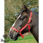 Nylon Headcollar & Lead Rope Set by Rhinegold  RED  PONY  Fully Adjustable