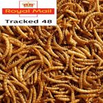 Juicy Dried Mealworms Excellent Wild Bird Food Fish Food & Garden Wildlife